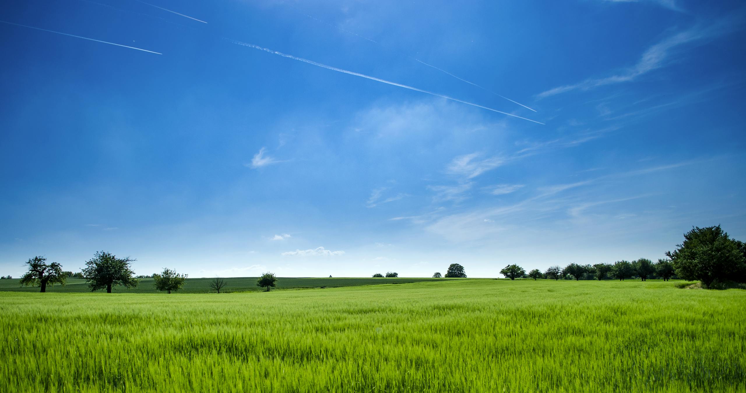 Tranquil rural landscape with lush green field and bright blue sky.